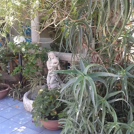 Bed & Breakfast Albatros *