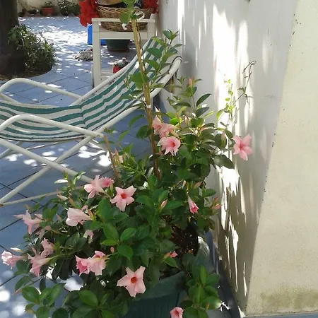Albatros Bed & Breakfast Lipari (Isola Lipari)
